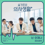 J Rabbit - Hospital Playlist OST Part 7