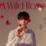 RYEOWOOK A Wild Rose